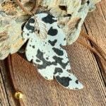 Buy swimwear for women at a store.